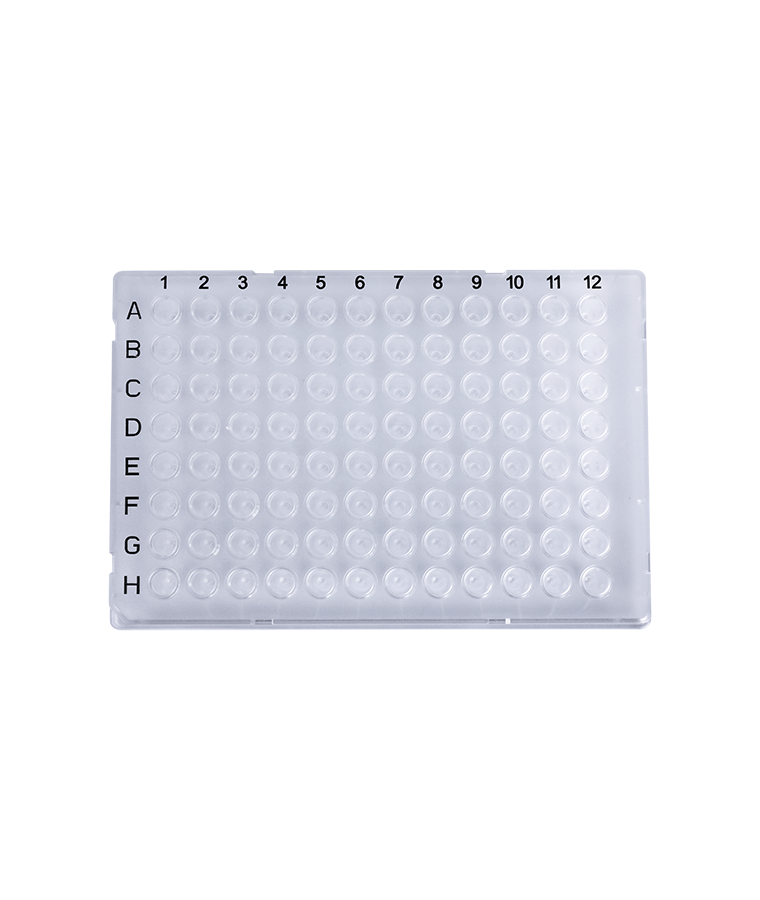 PCR20-C-96-FS-BC 0,2 ml číra 96-jamková PCR platňa s plným okrajom